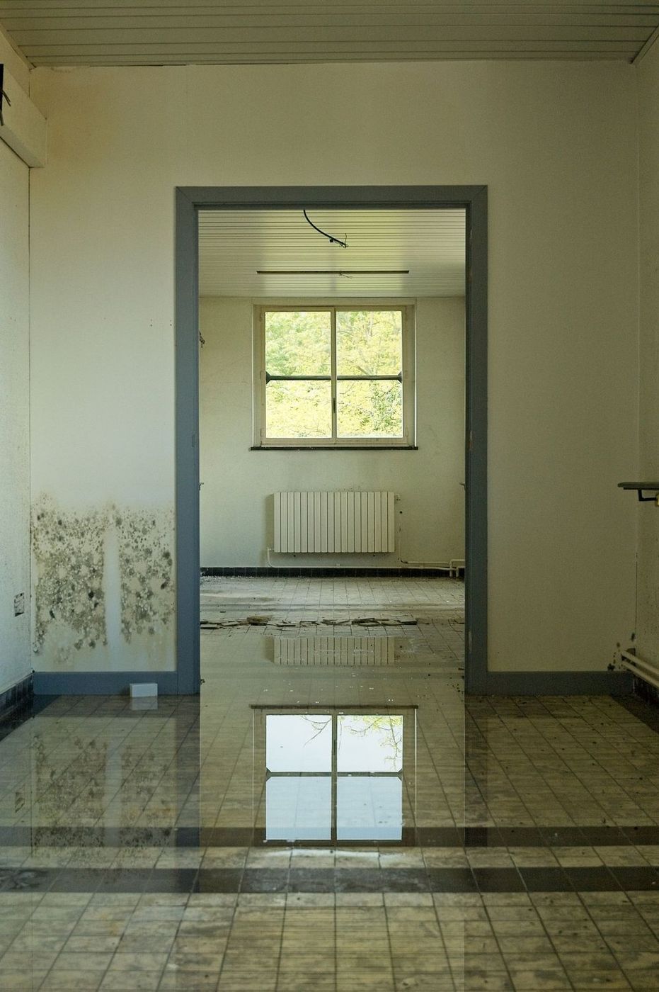 De-identified water damage example